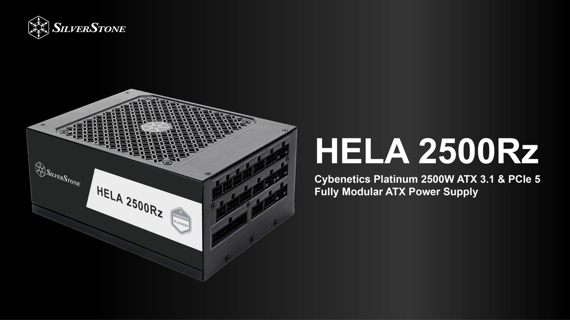 Amazon.com: SilverStone Technology - HELA 2500Rz Cybenetics